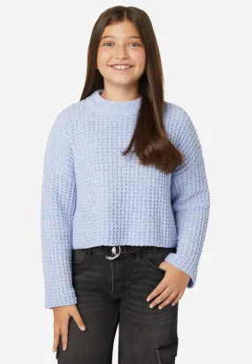 Plush Mock Neck Sweater