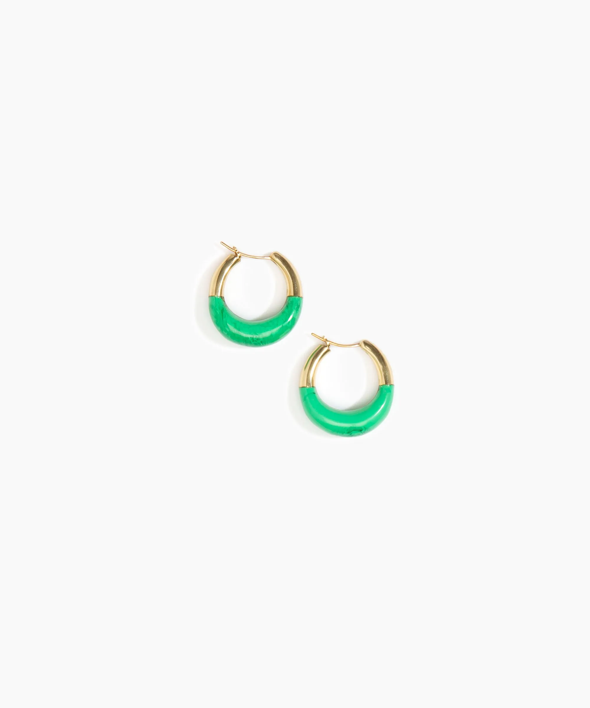 Small Horn Hoop Earrings