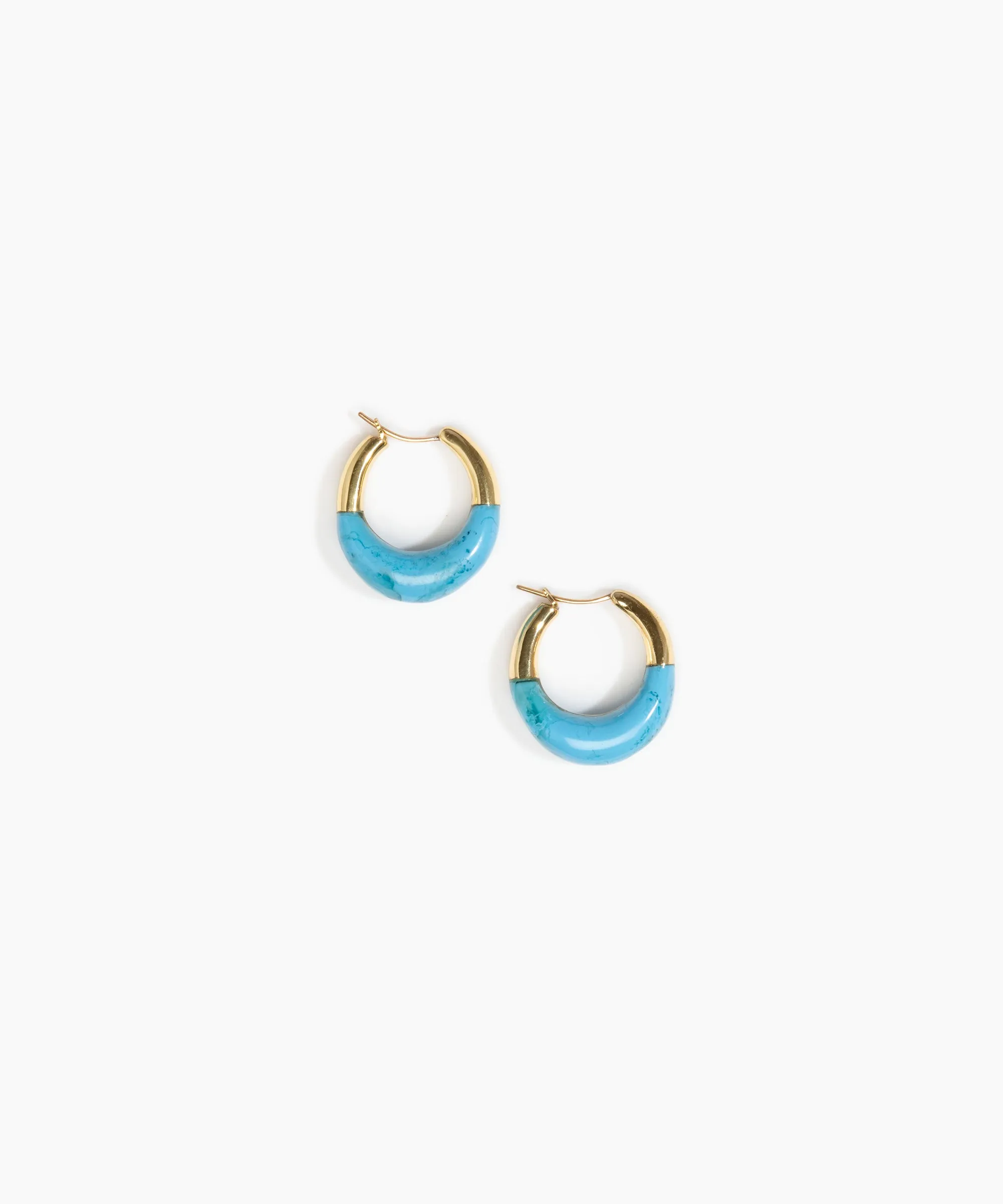 Small Horn Hoop Earrings