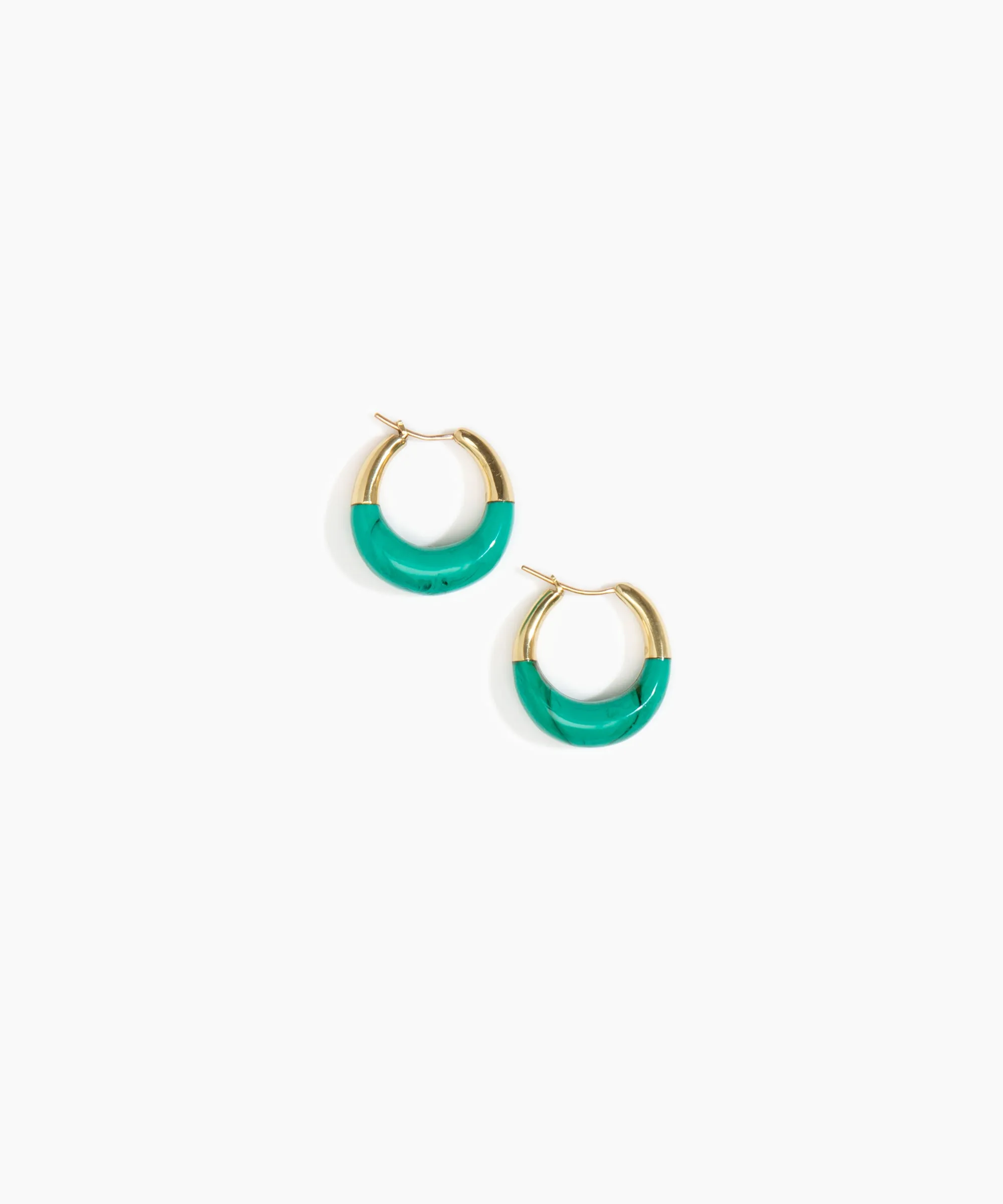 Small Horn Hoop Earrings